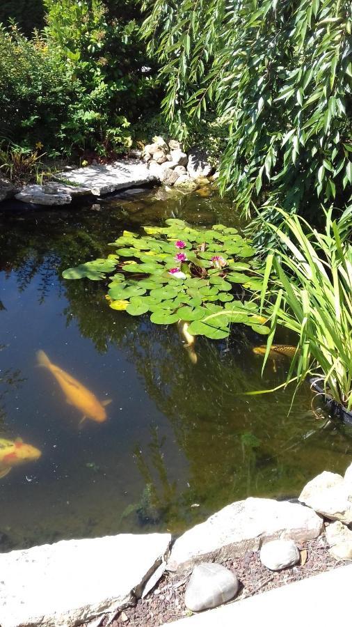 Le Jardin De Nemo Bed and Breakfast Biscarrosse Eksteriør billede