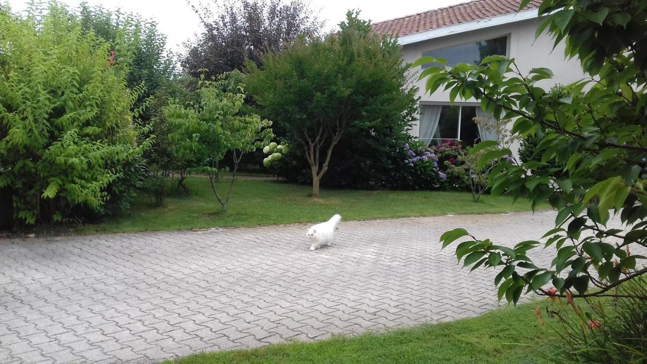 Le Jardin De Nemo Bed and Breakfast Biscarrosse Eksteriør billede