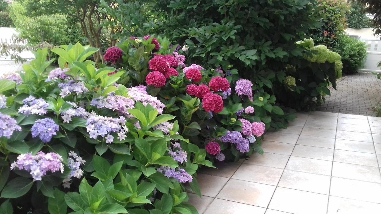 Le Jardin De Nemo Bed and Breakfast Biscarrosse Eksteriør billede